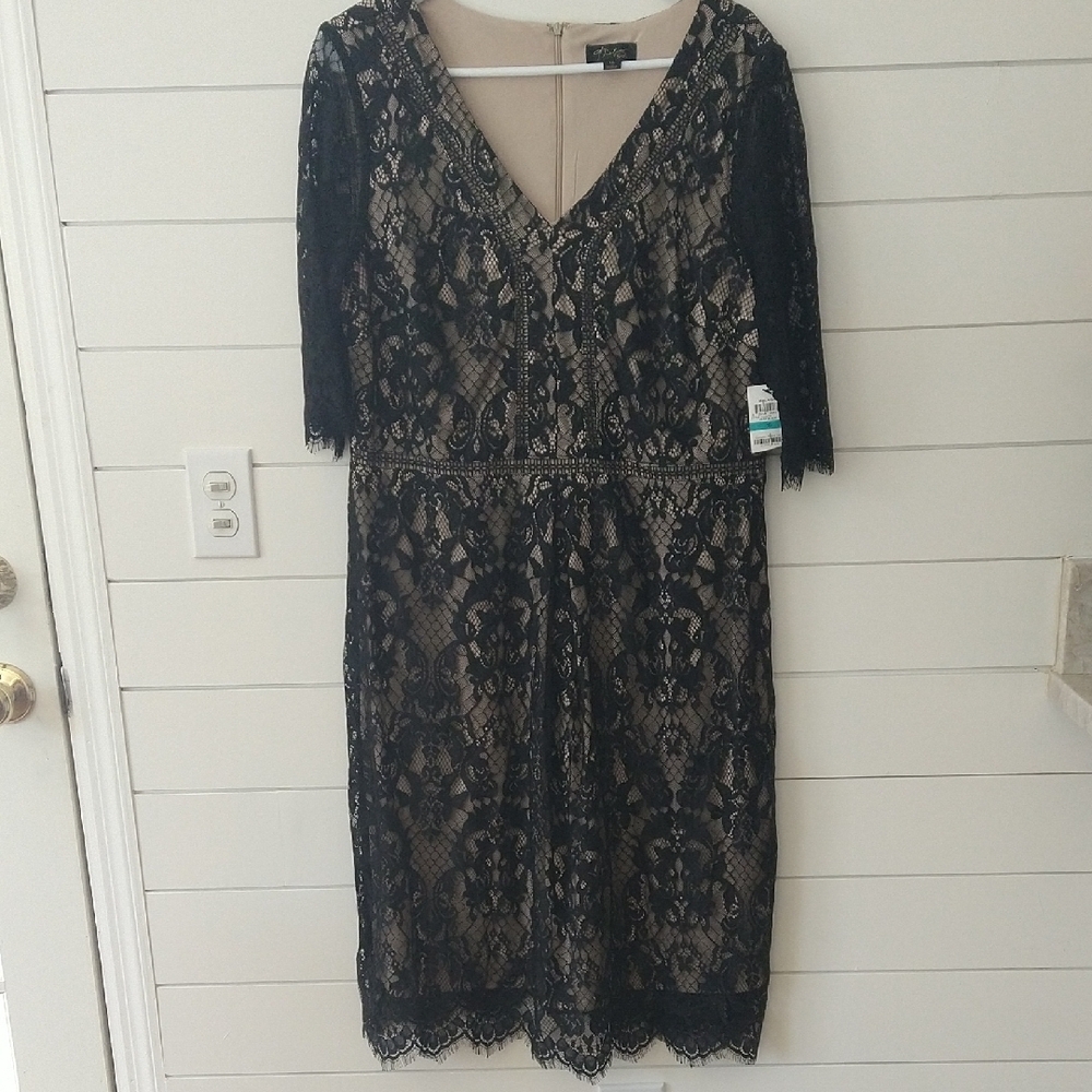 Thalia Sodi Elegant Black and Cream Lace Midi Dress